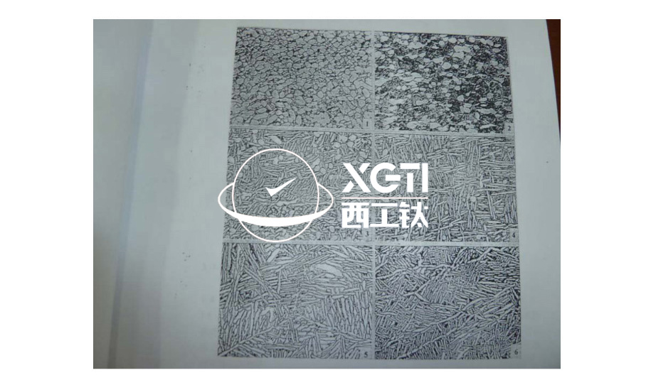 1583153263562942.jpg 4.jpg